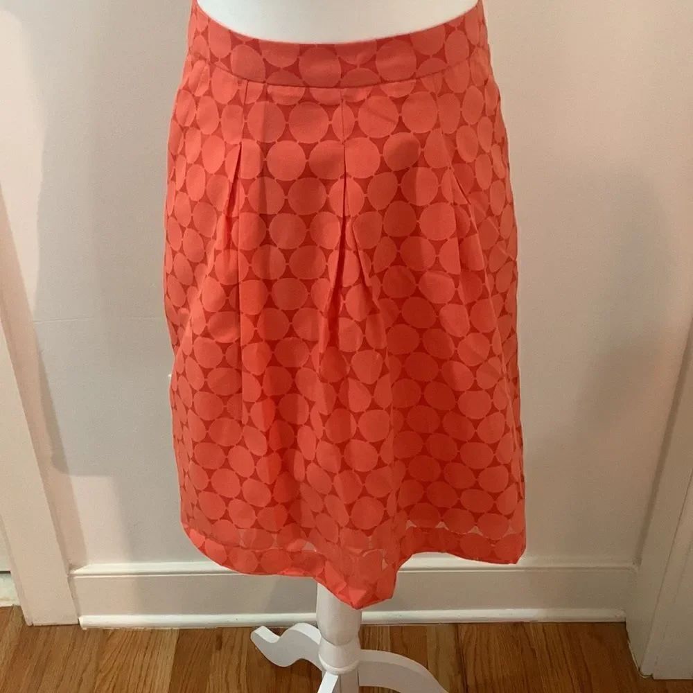 The Limited Skirt - Picture 4 of 5